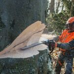 STIHL MS 661 C-M, RH, 63 cm – Modell 2025 - Image 2