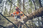 Husqvarna 562 XP® G Mark II / 45 - Afbeelding 2