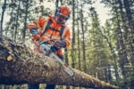 Husqvarna 562 XP® G Mark II / 45 - Afbeelding 5