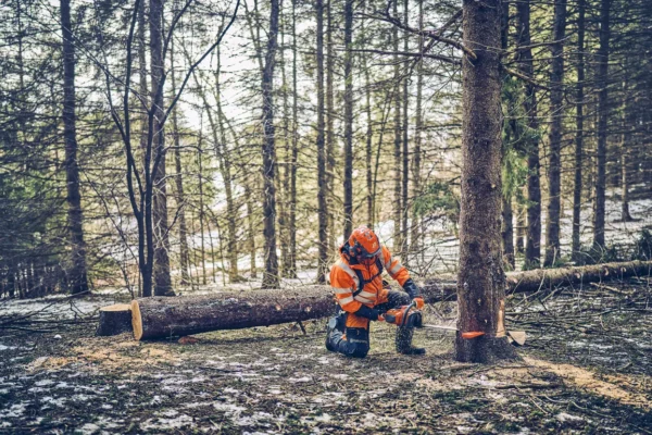 Husqvarna 562 XP® G Mark II / 45 - Afbeelding 4