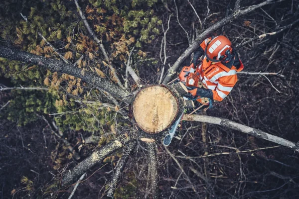 Husqvarna 562 XP® G Mark II / 45 - Afbeelding 3