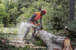 Husqvarna 550 XP® Mark II (18″) – X-Torq - Afbeelding 6