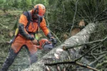 Husqvarna 550 XP® G Mark II – X-Torq - Afbeelding 5