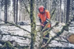 Husqvarna 560 XP® G Mark II / 45 - Imagen 5