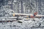 Husqvarna 560 XP® G Mark II / 45 - Imagen 3