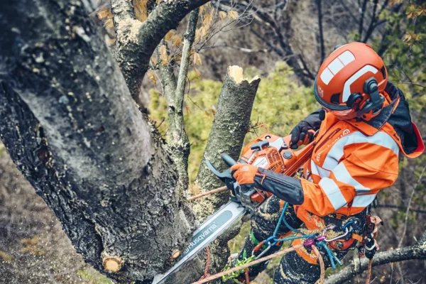 Husqvarna 560 XP® G Mark II / 45 - Imagen 2