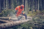 Husqvarna 560 XP® Mark II / 38 – X-Torq - Afbeelding 6