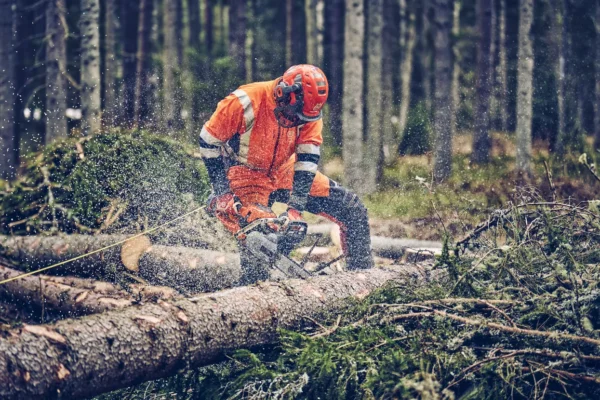 Husqvarna 560 XP® Mark II / 38 – X-Torq - Afbeelding 6