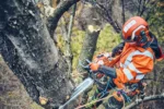 Husqvarna 560 XP® Mark II / 38 – X-Torq - Afbeelding 4