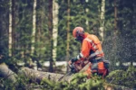 Husqvarna 560 XP® Mark II / 38 – X-Torq - Afbeelding 3