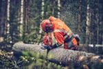 Husqvarna 560 XP® Mark II / 38 – X-Torq - Afbeelding 2