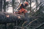 Husqvarna 592 XP® / 90 – X-Torq - Image 5